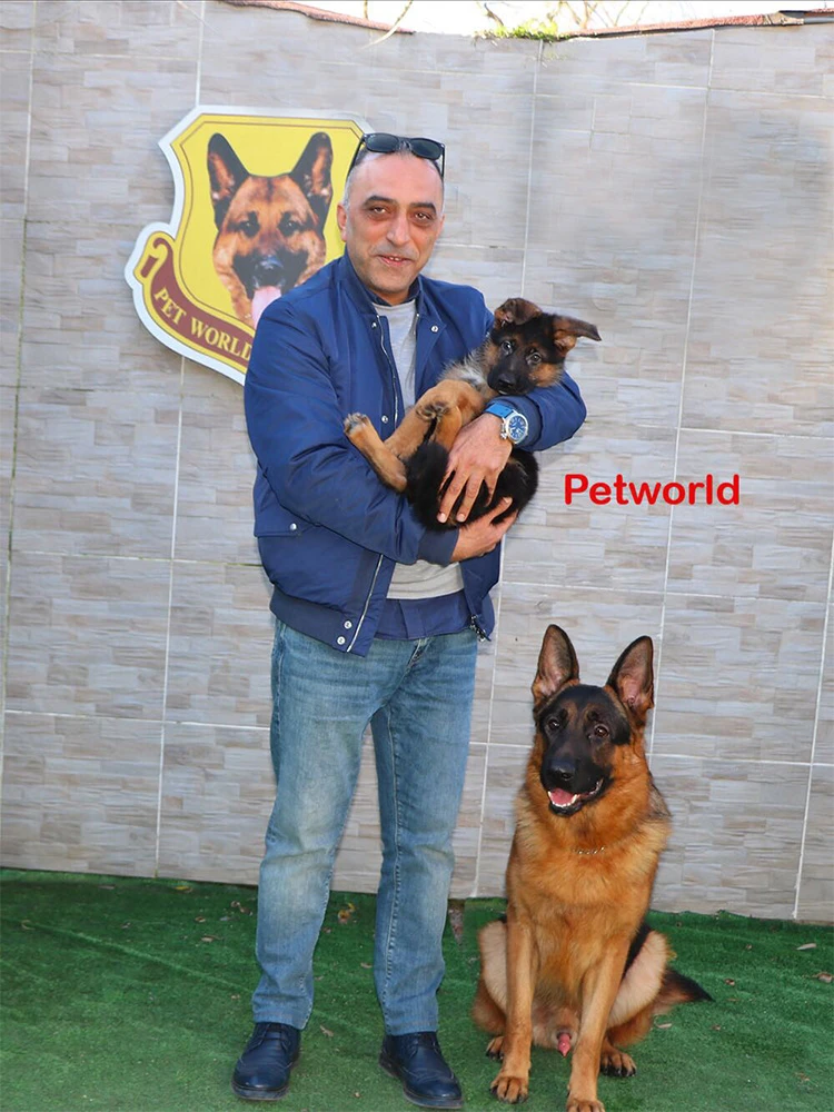 Soner Bey, Nicholas von Petworld'ün yavrusuna kavuştu