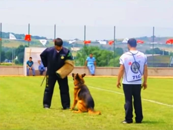 2012 TR-Bursa Show Protection Courage Test - Flap