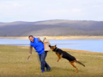 Sky von Petworld Bodyguard Eğitiminde