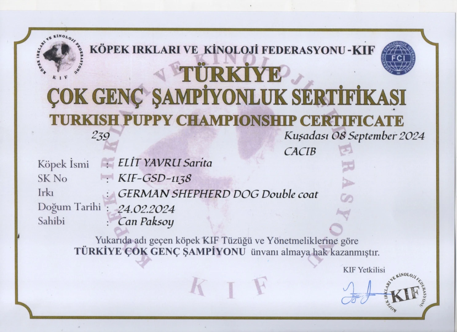 Elit Yavru Sarita gallery 4