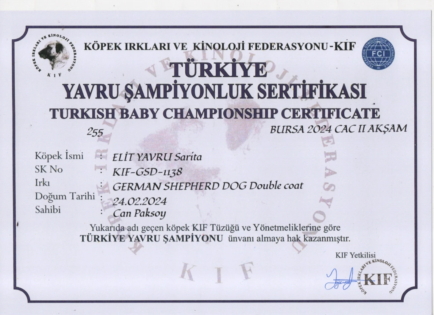 Elit Yavru Sarita gallery 3