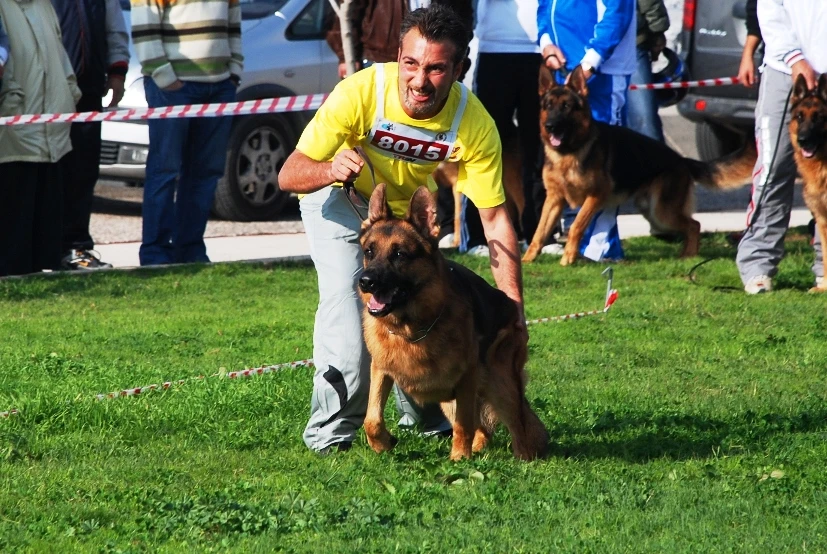 6.Türkiye Şampiyonası