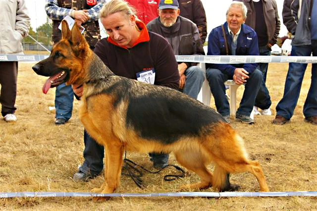 Petworld Yıldızları Avrupa'da Yeni Başarılar Kazandı