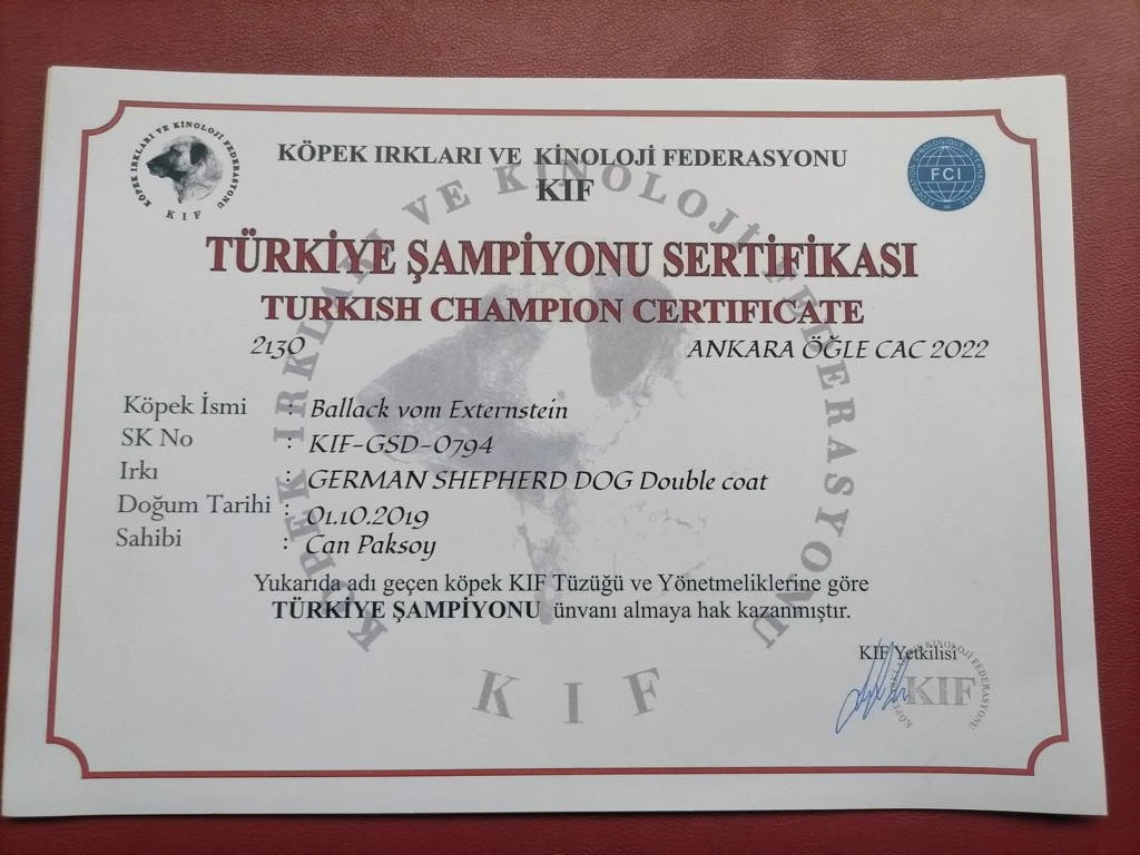 Türkiye Şampiyonu Ballack von Externstein