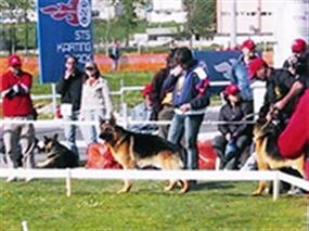 2. Türkiye Şampiyonası 2004