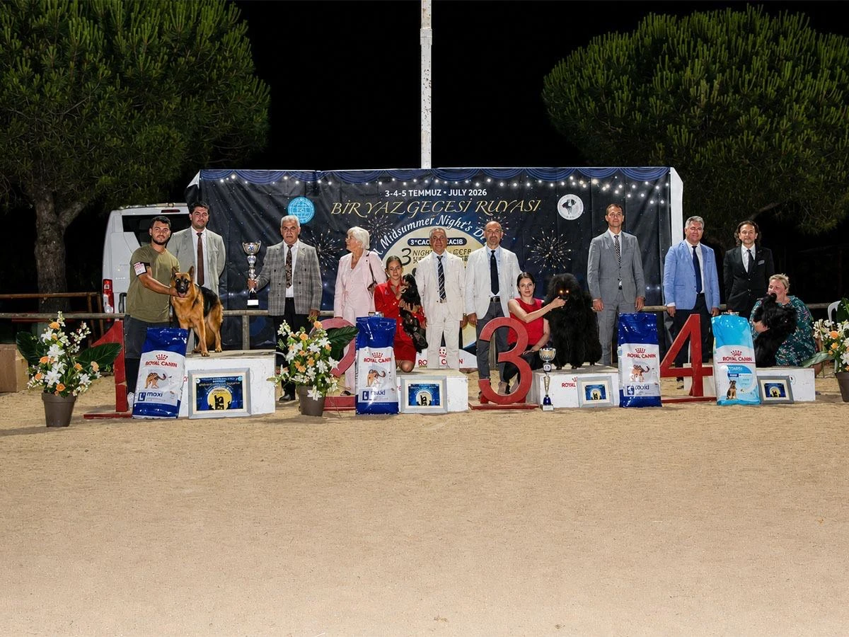 Silivri'de Büyük Başarı: Elit Yavru & Petworld Kennel Club'dan Şampiyonluk Yağmuru