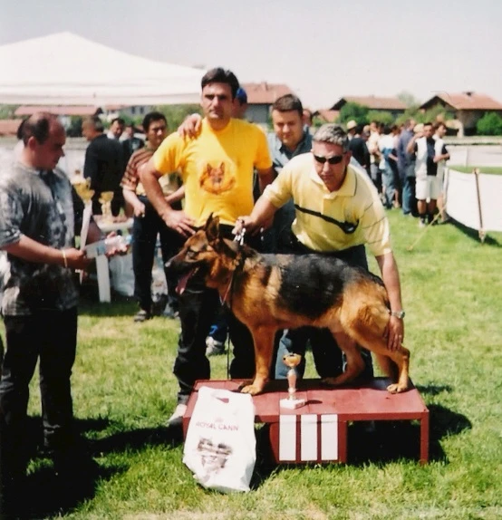 2003 Balkan Şampiyonası