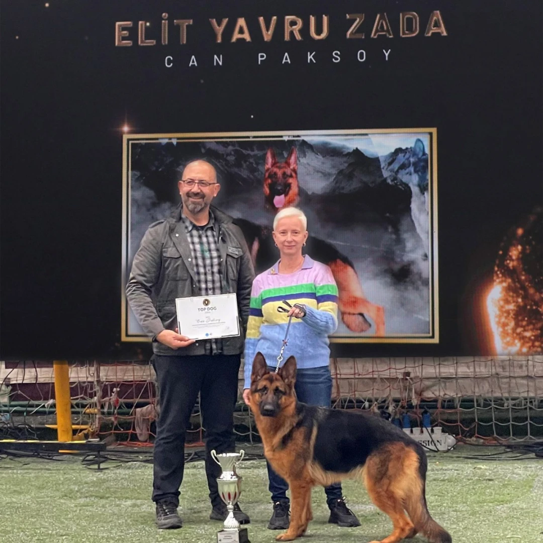 Köpek Irkları ve Kinoloji Federasyonu’nun Düzenlediği Top Dog Ödül Töreni