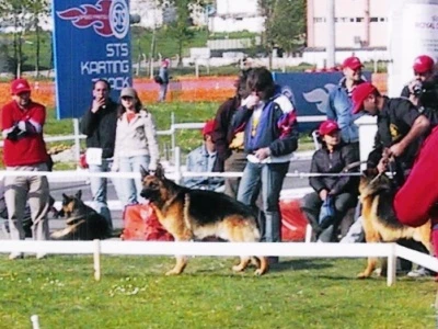 2. Türkiye Şampiyonası 2004