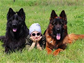 Çocuklar Alman Çoban Köpeği dostluğu ile büyüyor