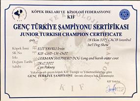 Türkiye Şampiyonu Elit Yavru İrvan