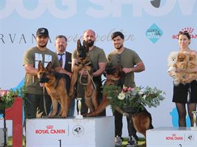 Köpek Irkları Ve Kinoloji Federasyonu’nun Antalya'da Düzenlediği Yarışmada Üstün Başarı